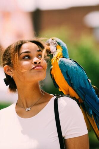 Nuerodivergence service