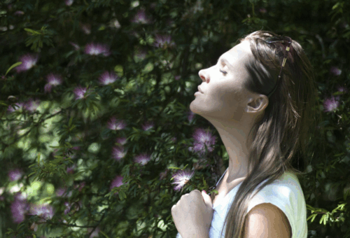 The Power of Therapeutic Movement