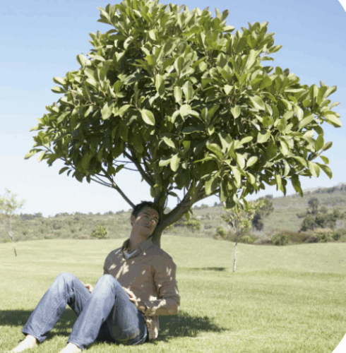 Introducing The MPC Walk-In!